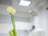 Klinika Wiatroszak - Estmedica