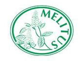 Klinika Melitus