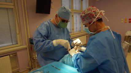 DSC02490