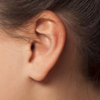 Rekosntrukcja ucha – na czym polega i jak się do niej przygotować?
