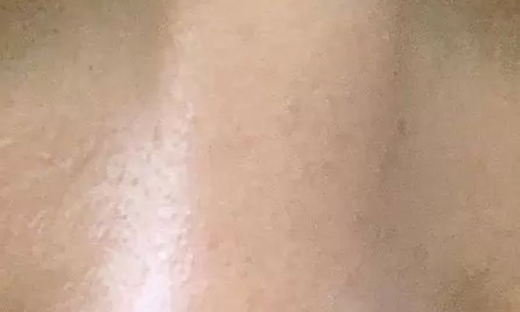 81648