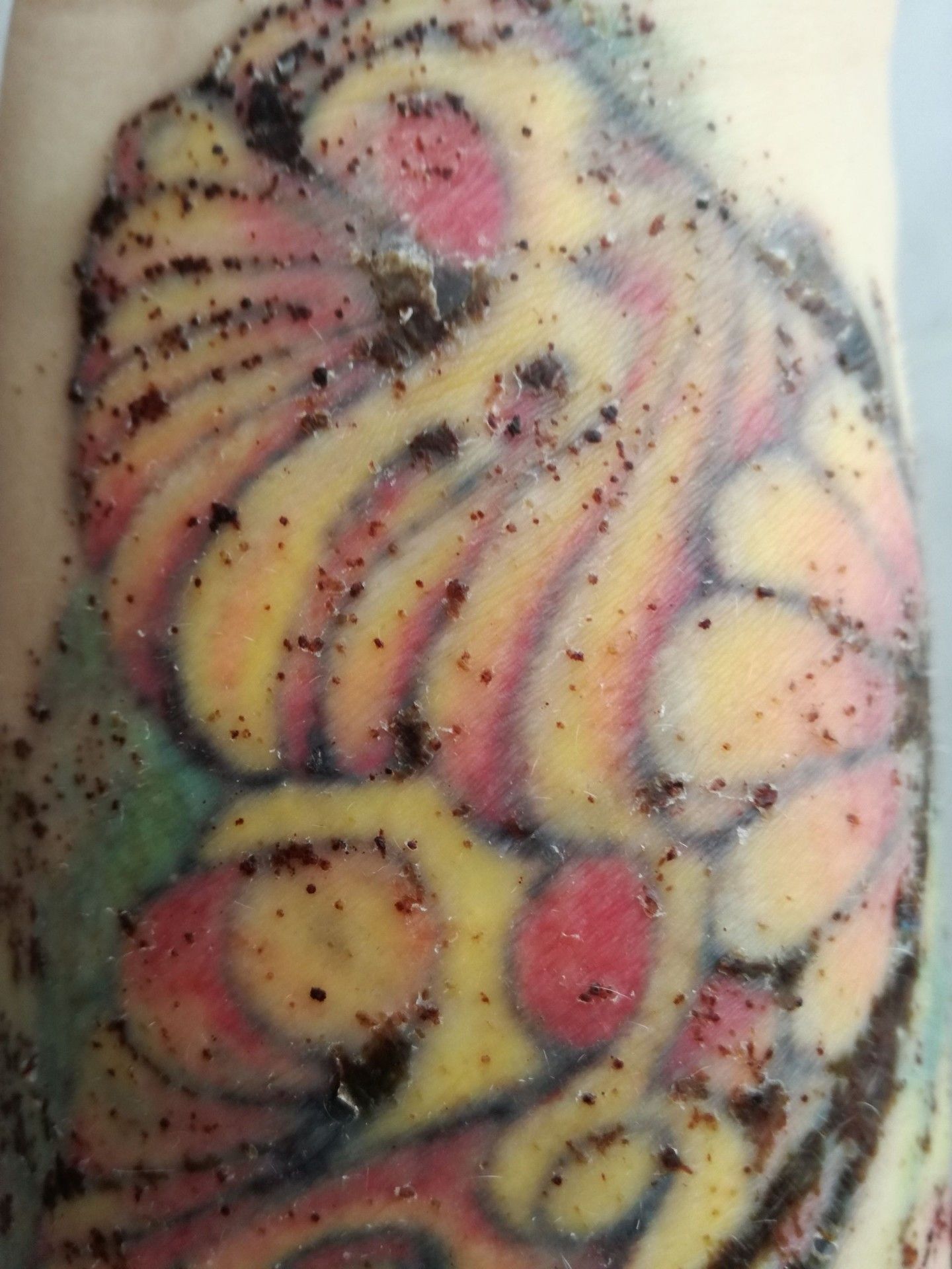 16815
